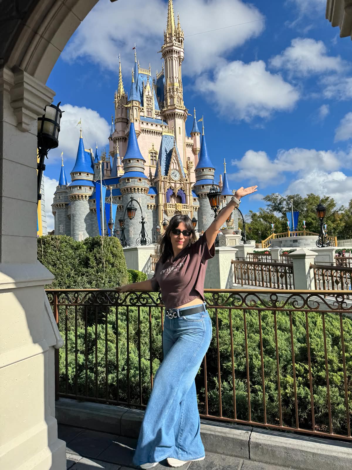 Ani en Disney